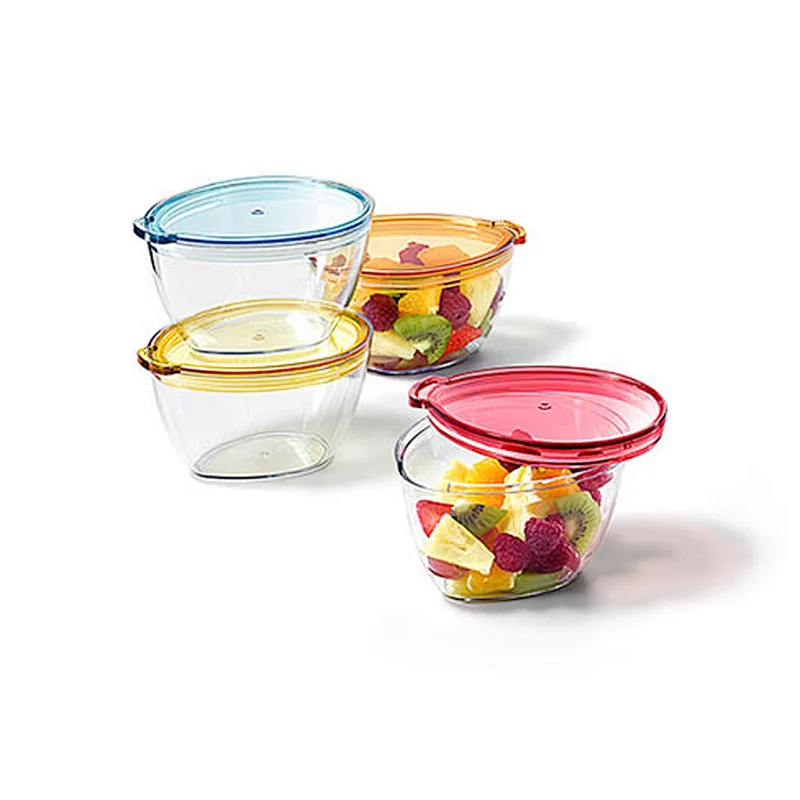 Tinted Salad Bowl Set of 4