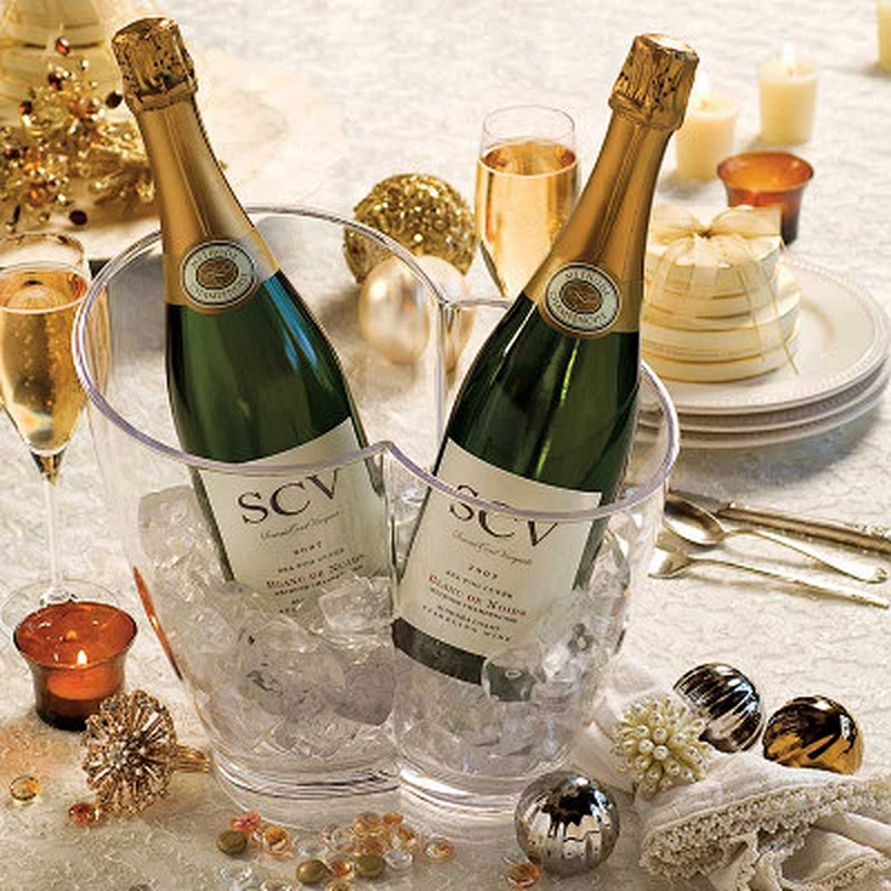 Two Bottles Wine Chiller