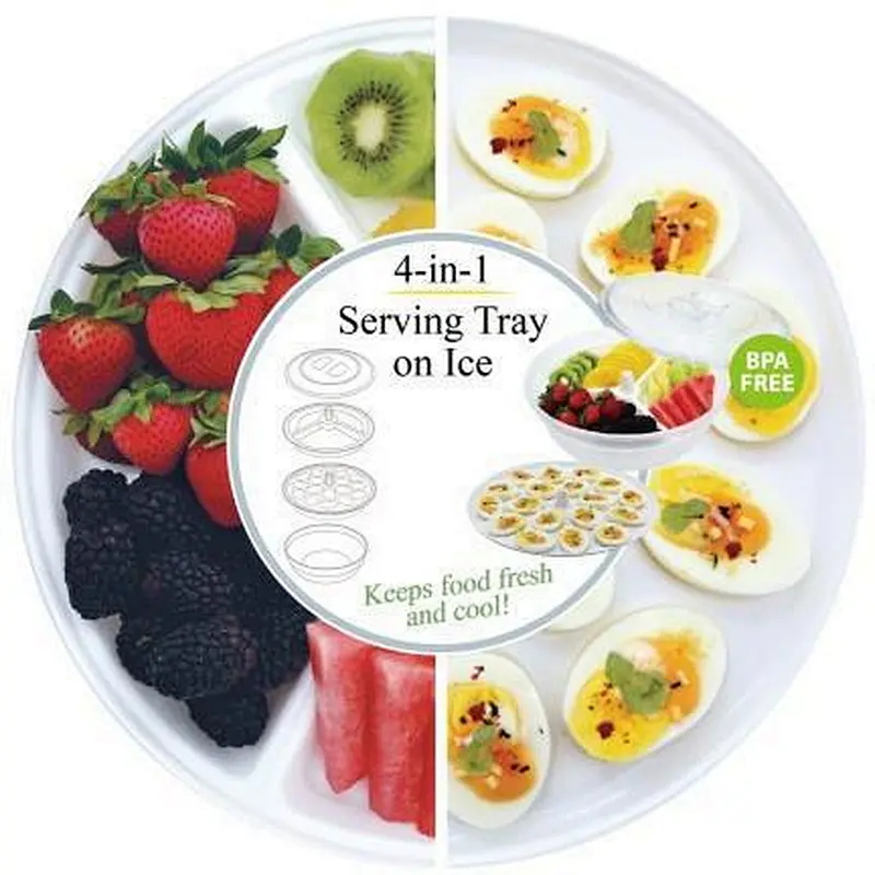 4 in 1 Serving Tray On Ice