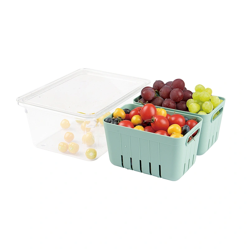 Fruit Fresh Storage Box with Colander