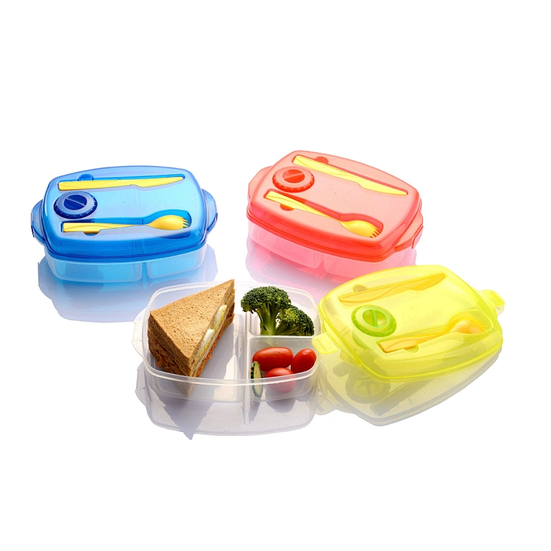 Salad Lunch Box