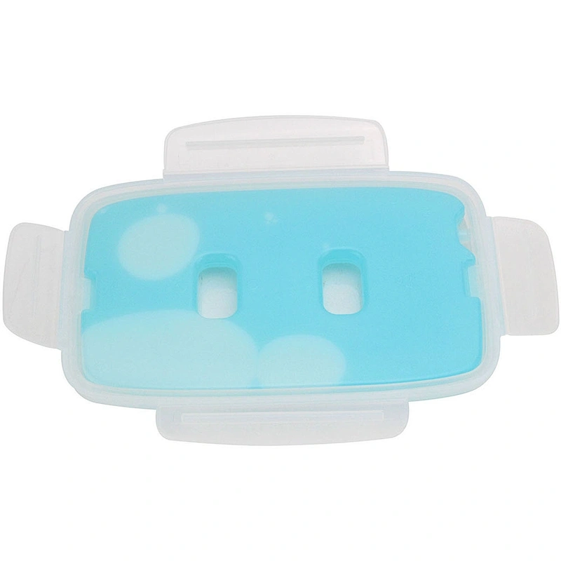 Lunch Box with Ice Pack
