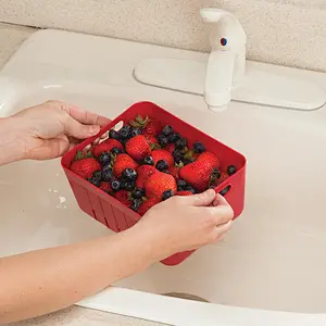Fruit Fresh Storage Box with Colander