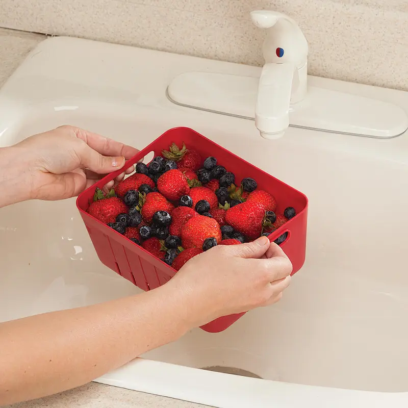 Fruit Fresh Storage Box with Colander