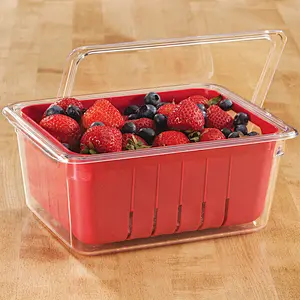 Fruit Fresh Storage Box with Colander