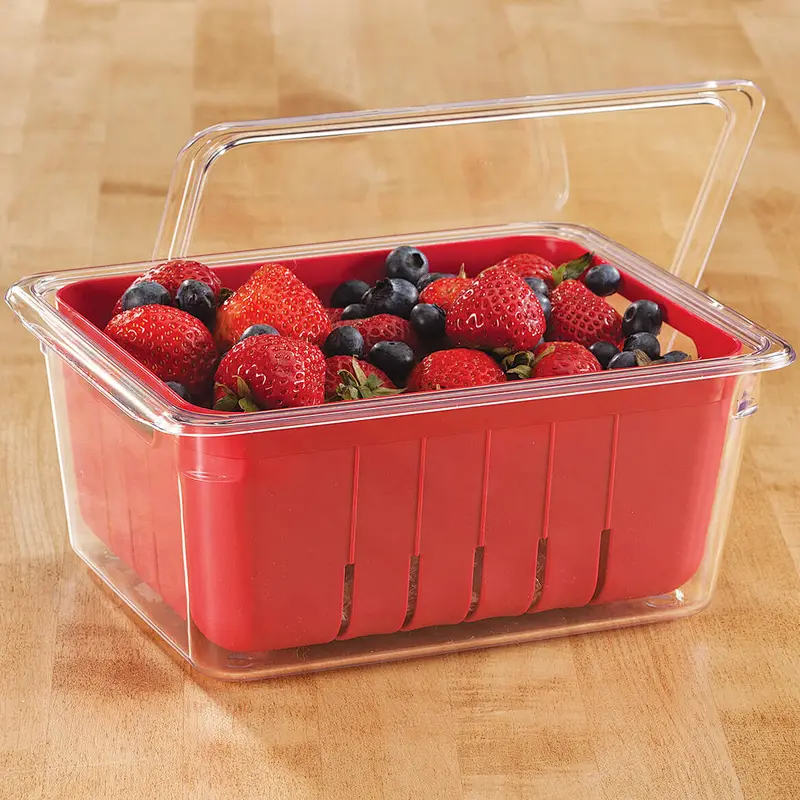 Fruit Fresh Storage Box with Colander