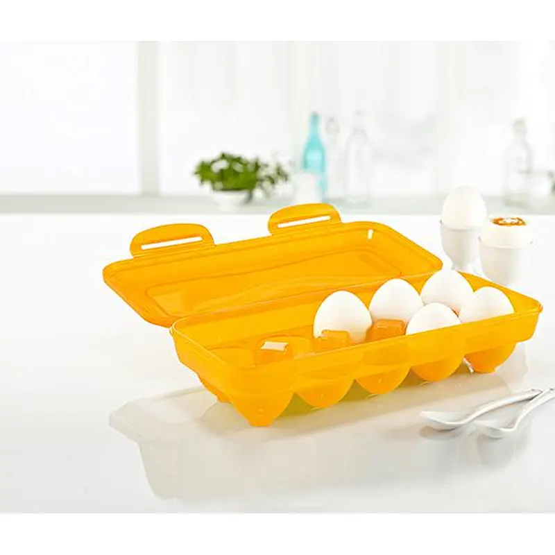10 Cavities Egg Storage Box