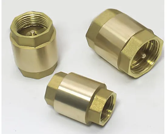 vertical lift check valve