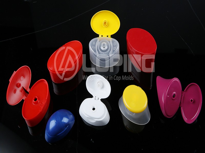 TAIZHOU LOPING PLASTIC MOULD CO .,LTD
