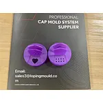 Double Sided Flip Mould