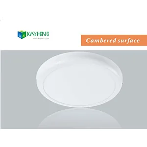 6W Cambered surface panel light