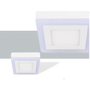 6W Double color panel light