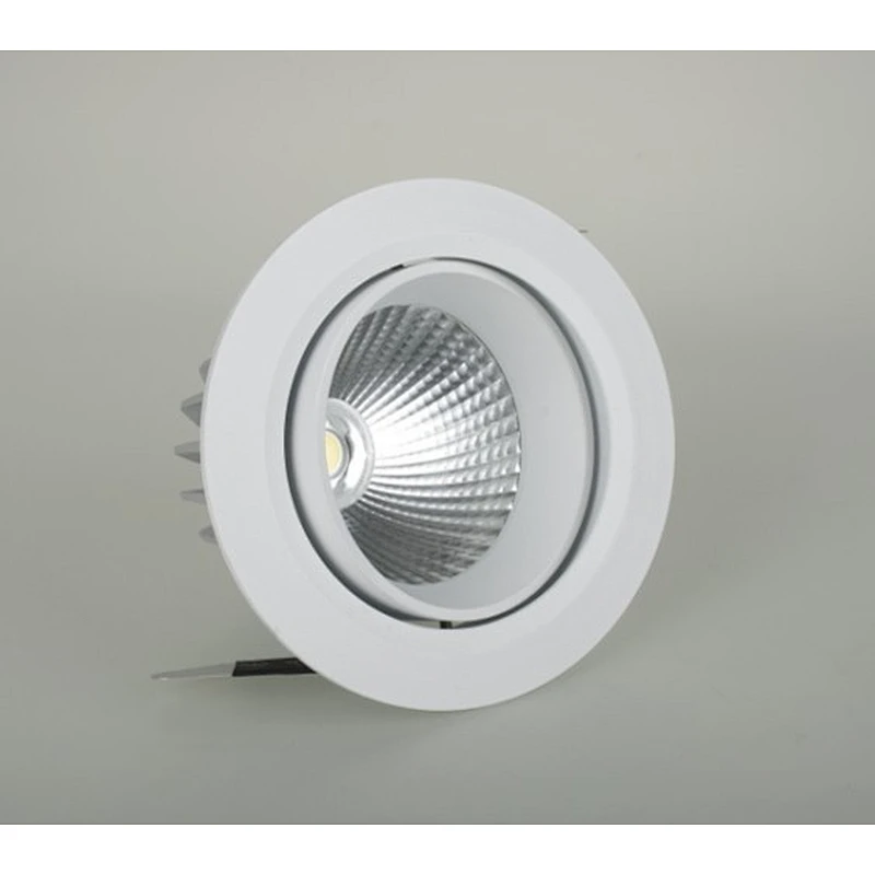 LED DOWN LIGHT