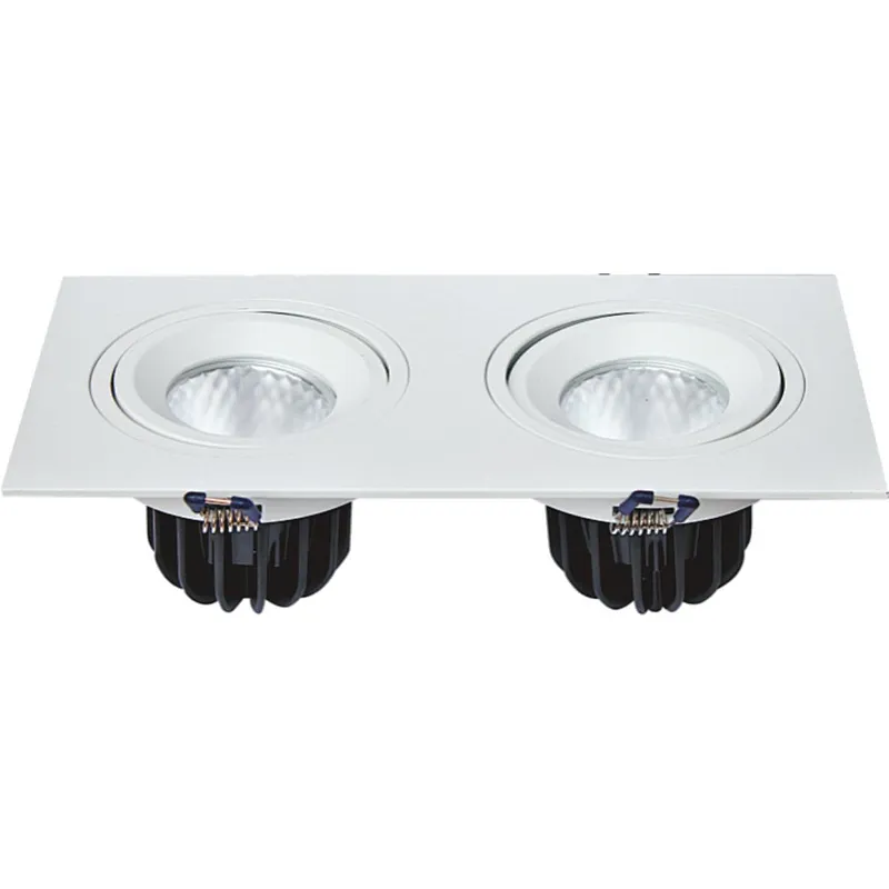 LED DOWN LIGHT