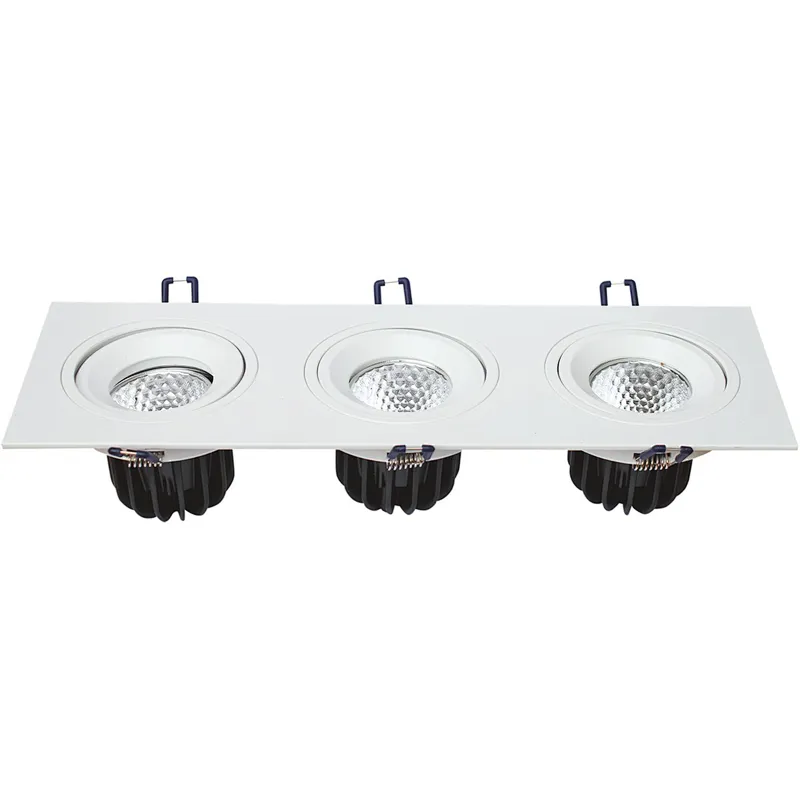 LED DOWN LIGHT