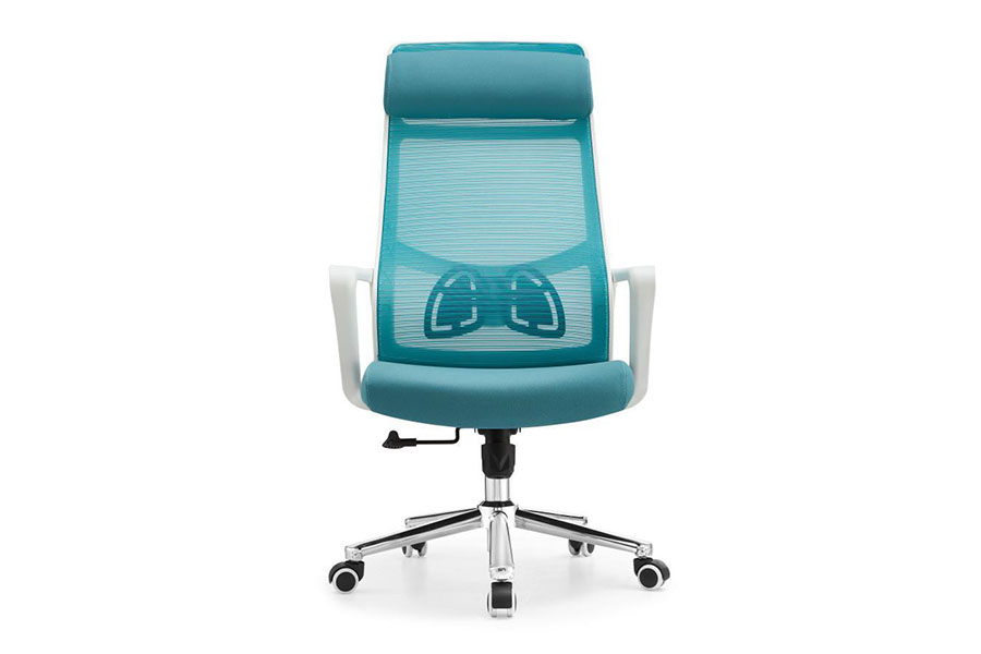 Teemliving  Palma Mesh office chair HM0269-LQ-919