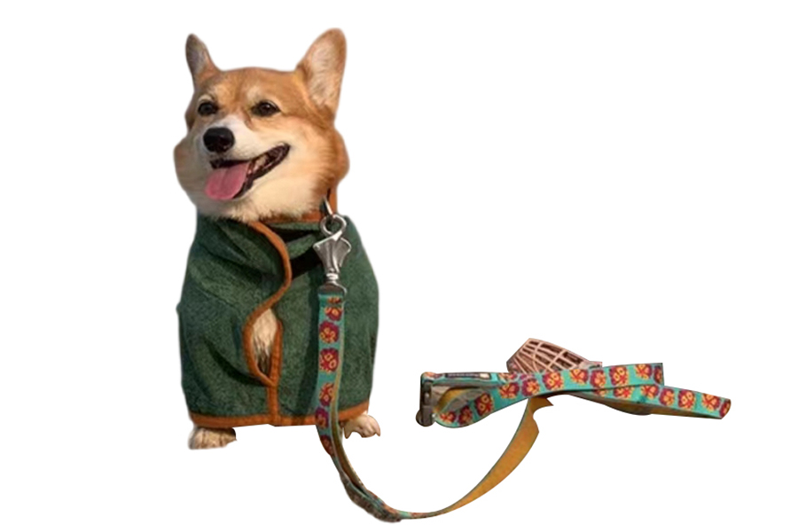 Pet bathrobe