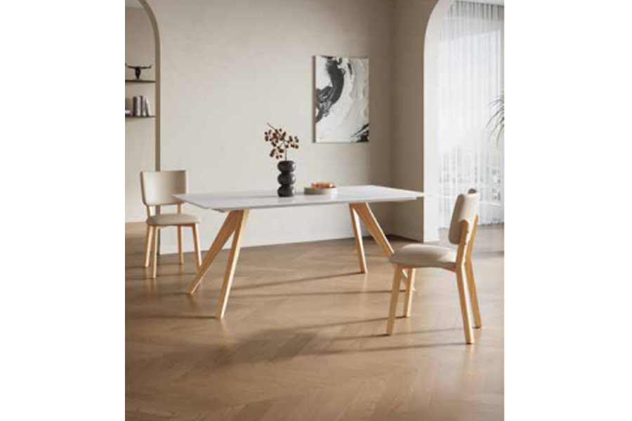 Fashion design dining table