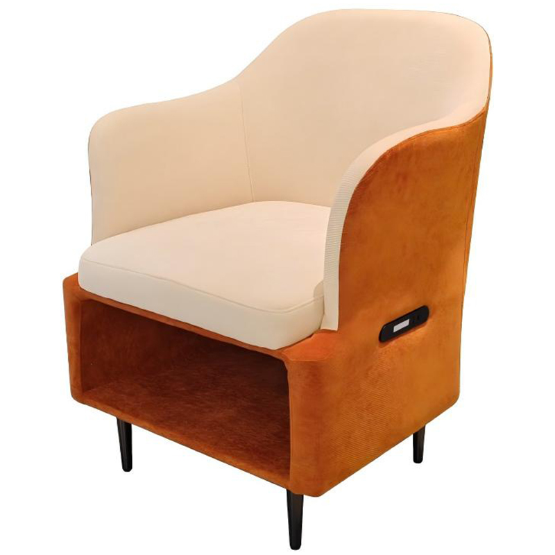 Leisure Chair