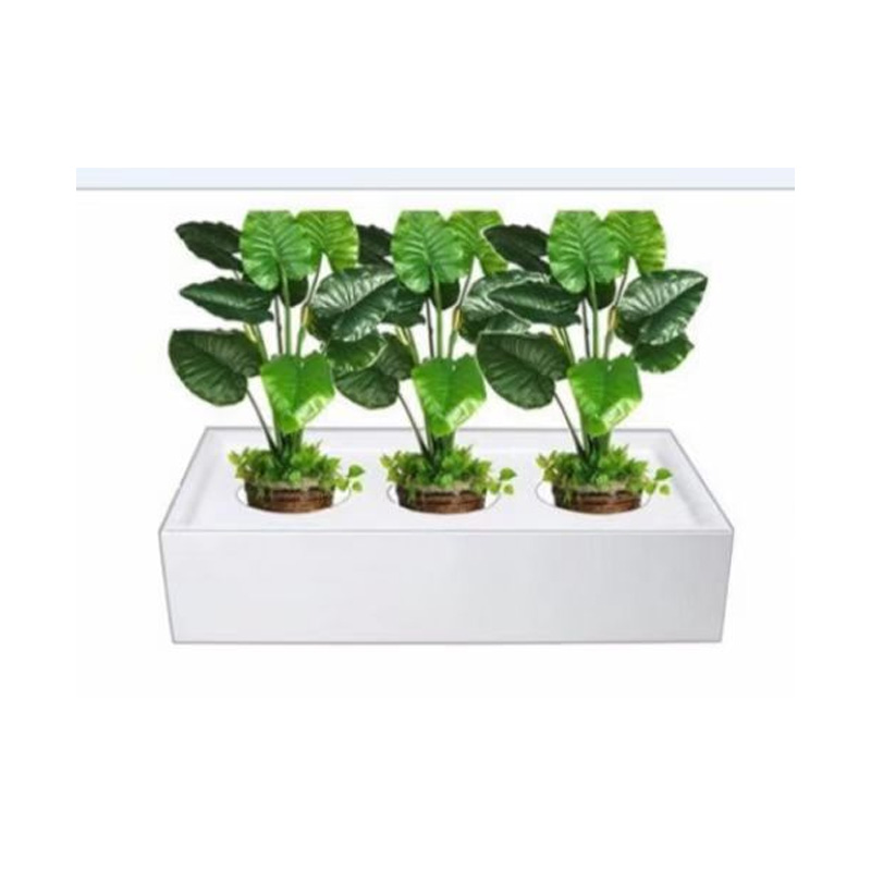 Flower box