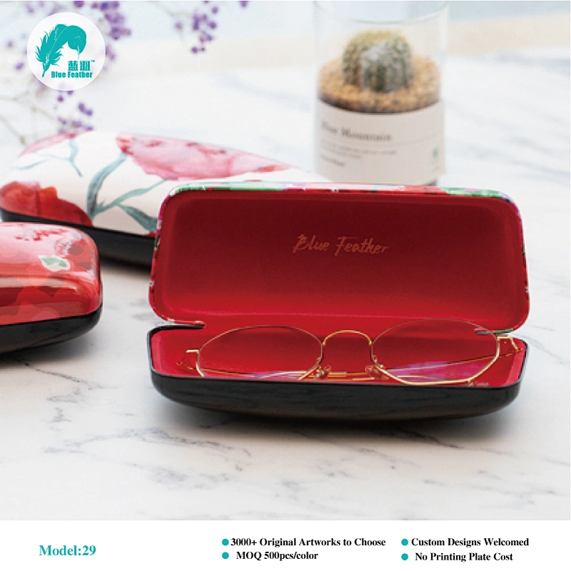hard optical case