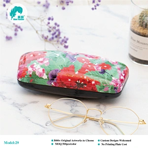 hard optical case
