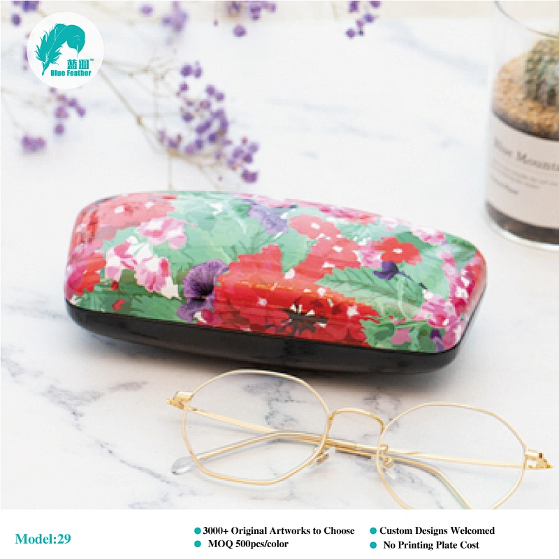 hard optical case
