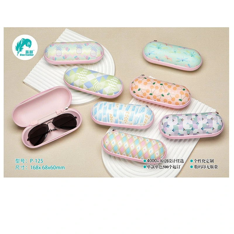 eva eyeglasses case
