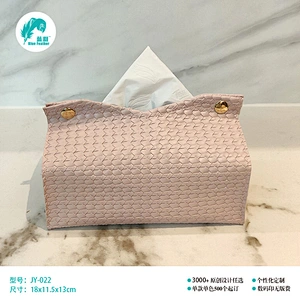 小号V口纸巾包 V口纸巾包