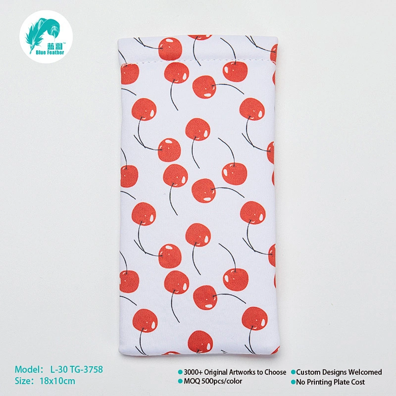 Eyeglasses bag