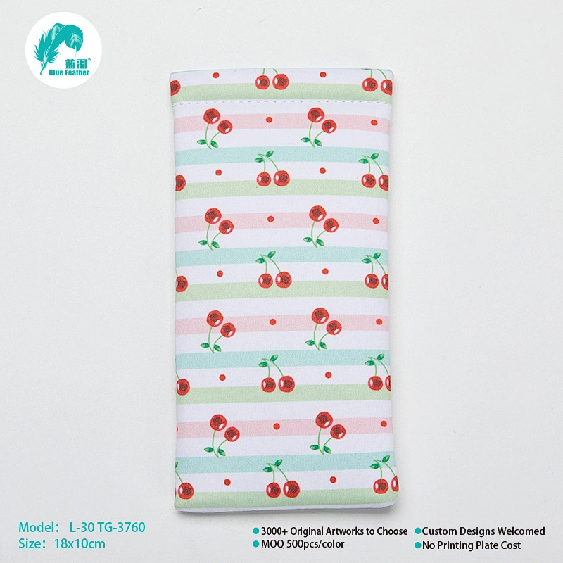 Eyeglasses bag