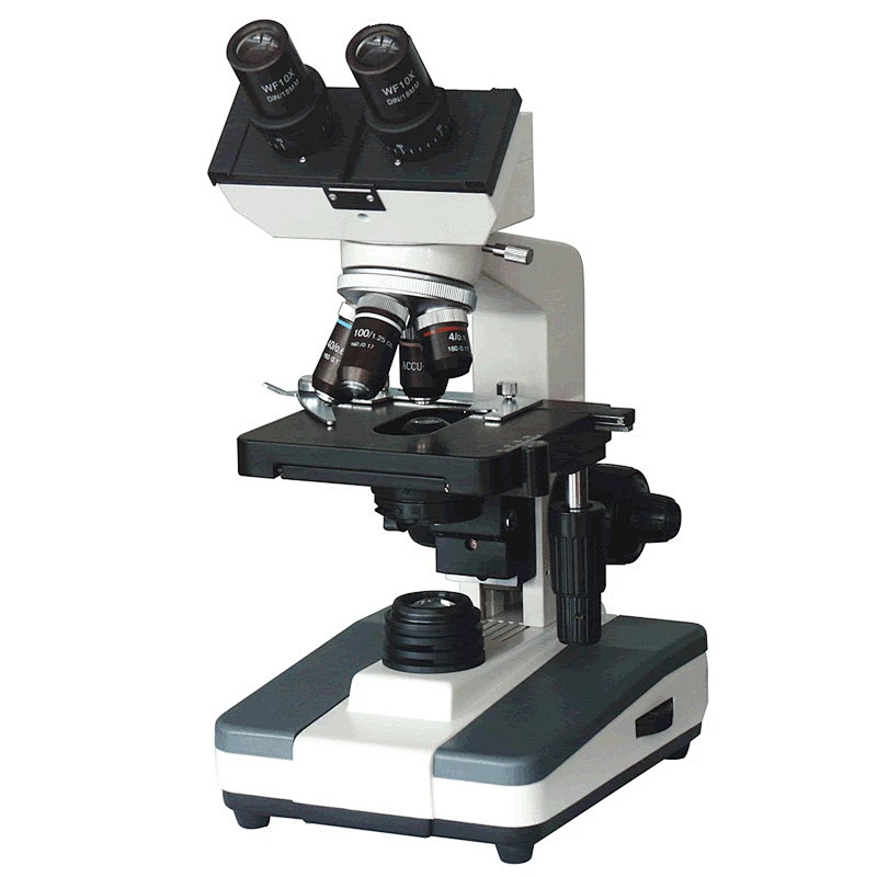 Mikroskop Biologi
