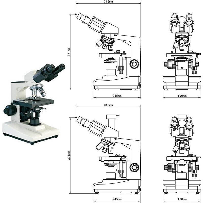 Biologisk mikroskop