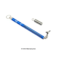 Metal Spring Scale