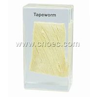 Crystal Specimen, Tapeworm