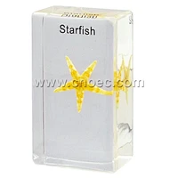 Crystal Specimen, Starfish