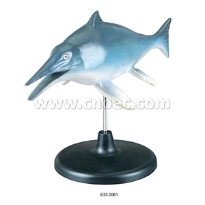 Model of Paleozoic SwordFish