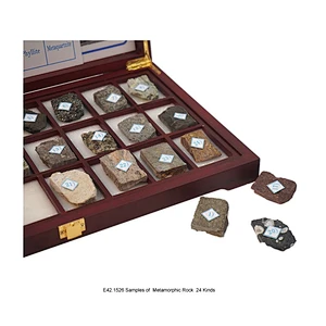 Campioni di roccia metamorfica 24 tipi