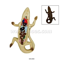 Lizard Dissection Model