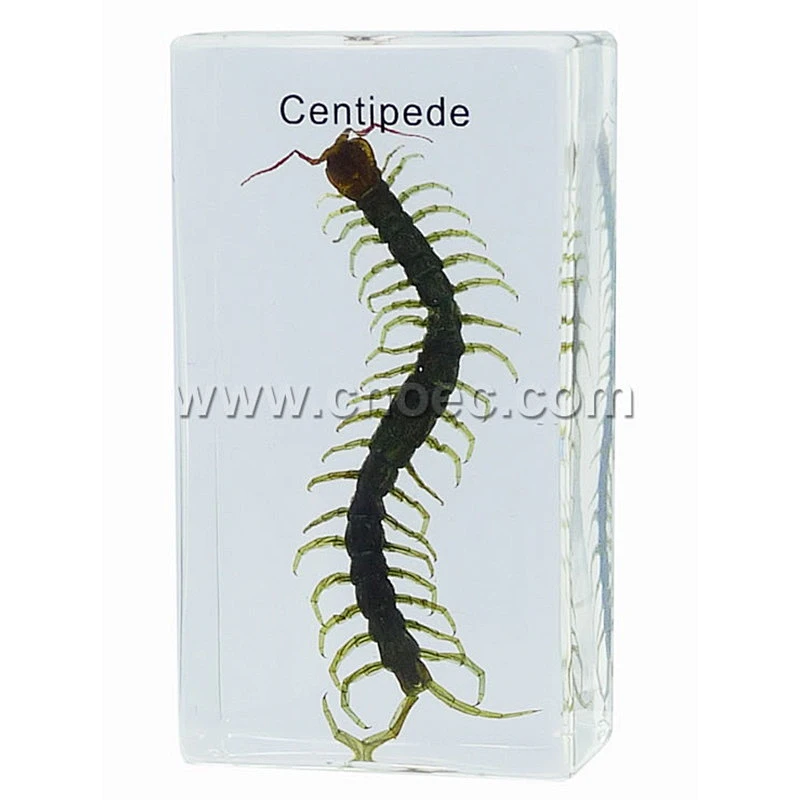 Crystal Specimen, Centipede