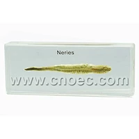 Crystal Specimen, Neries