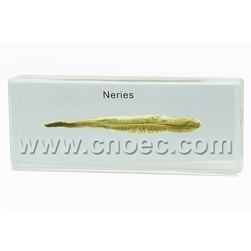 Crystal Specimen, Neries