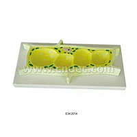 Plant Cell Model