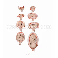 Human Development Set