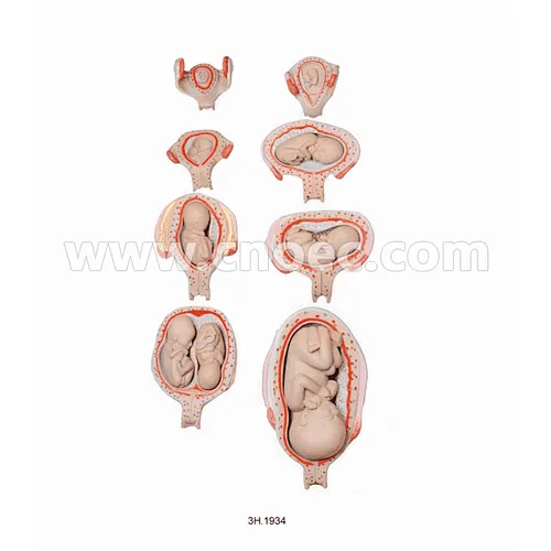 Human Development Set