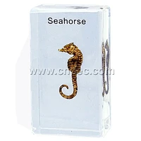 Crystal Specimen, Sea Horse
