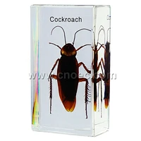 Crystal Specimen, Cockroach