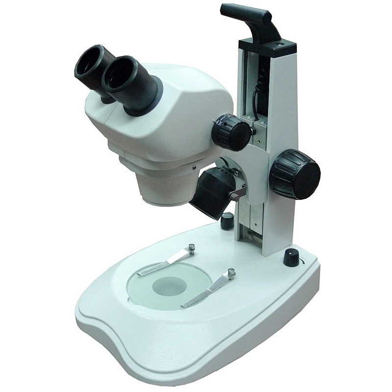 Microscópio estéreo