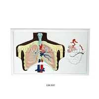 호흡기 시스템의 릴리프 모델