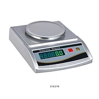 Equilibrio elettrico 0,1 g